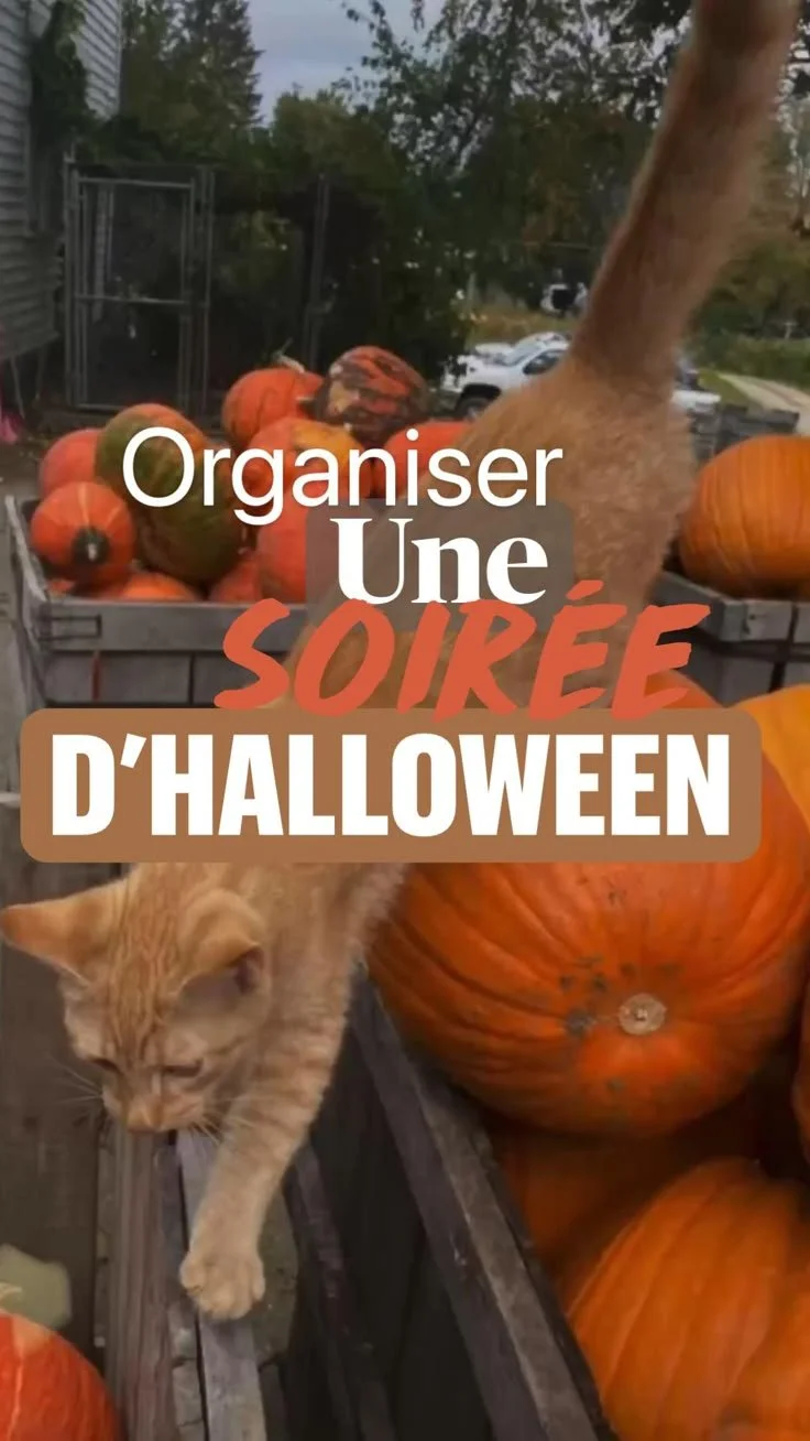 Idées pour organiser une soirée d'Halloween réussie avec des décorations et activités.