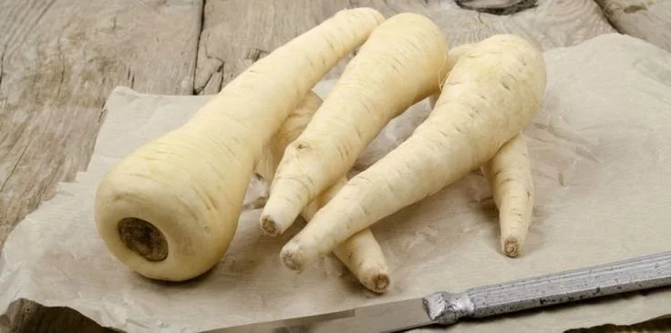 Assiette de panais cuisinés avec diverses recettes délicieuses.