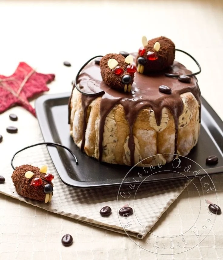 Recette de Charlotte glacé Bailey's & Café décorée avec des éléments gourmands