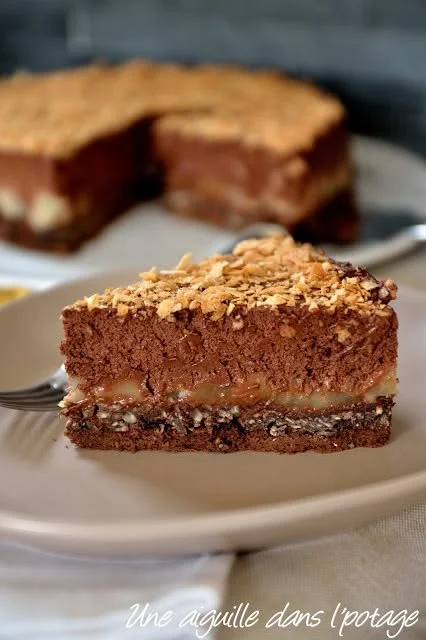 New York Cheesecake au chocolat délicieuse et irrésistible sans cuisson