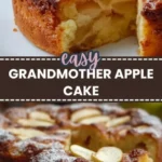 facile moelleux aux pommes de grand mere maison su 2026 08 06 201600 512x1024 1